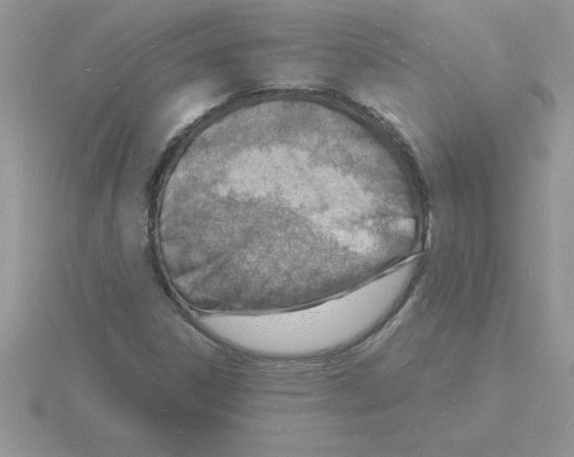 X0000115841306200912111324