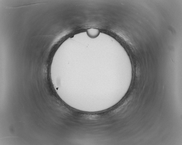 X0000115841309200912111324