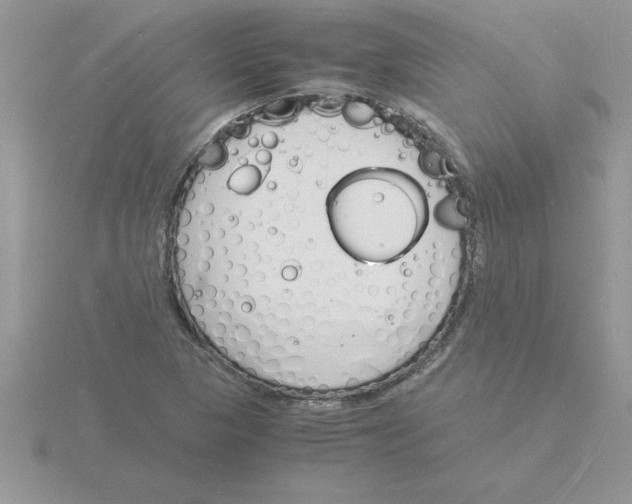 X0000115841313200912111324