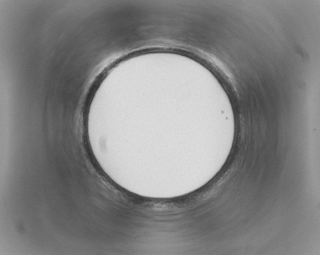 X0000115841318200912111324