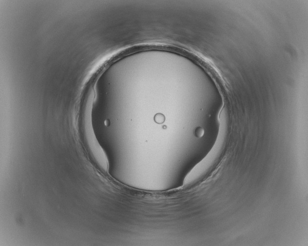 X0000115841319200912111324