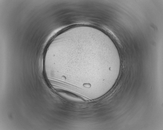 X0000115841323200912111325