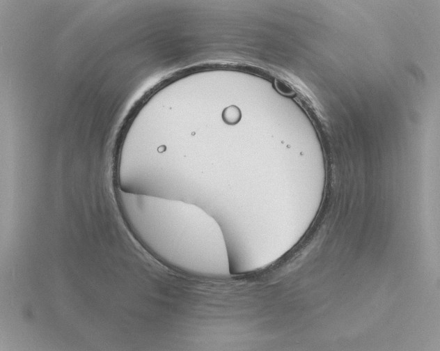 X0000115841326200912111325