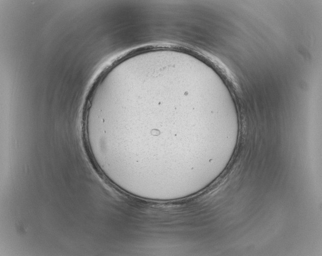 X0000115841327200912111325