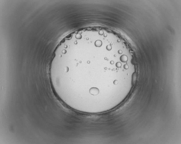 X0000115841329200912111325