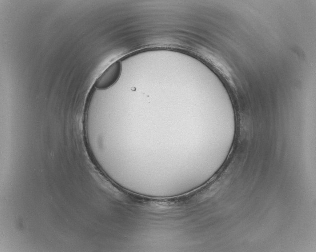 X0000115841330200912111325