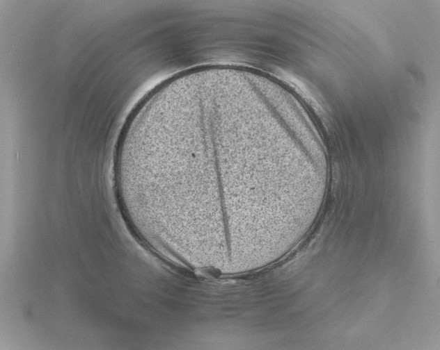 X0000115841331200912111325