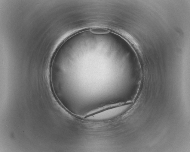 X0000115841334200912111325