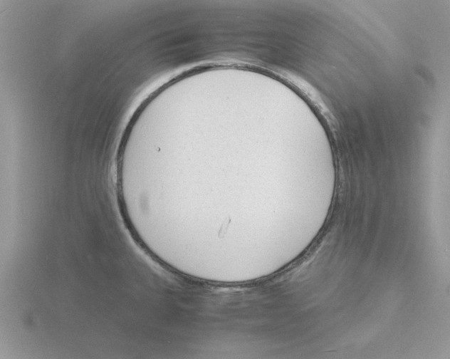 X0000115841335200912111325