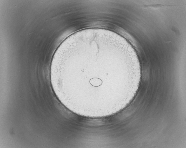 X0000115841338200912111325