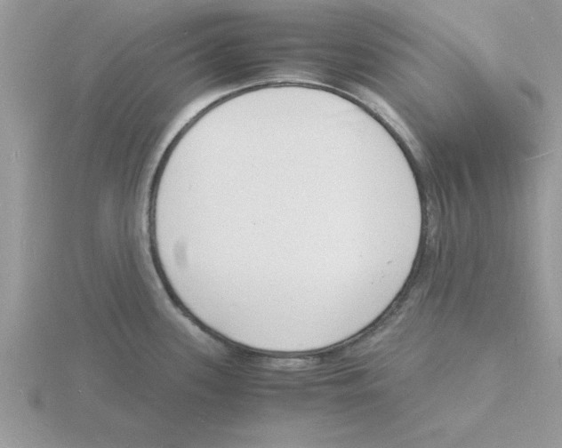 X0000115841339200912111325