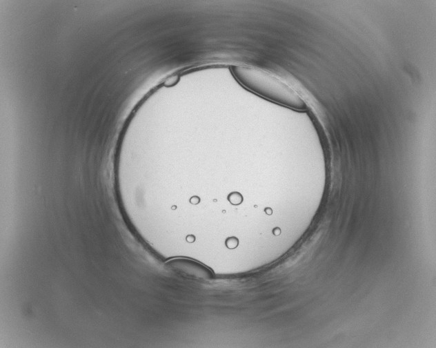 X0000115841341200912111325