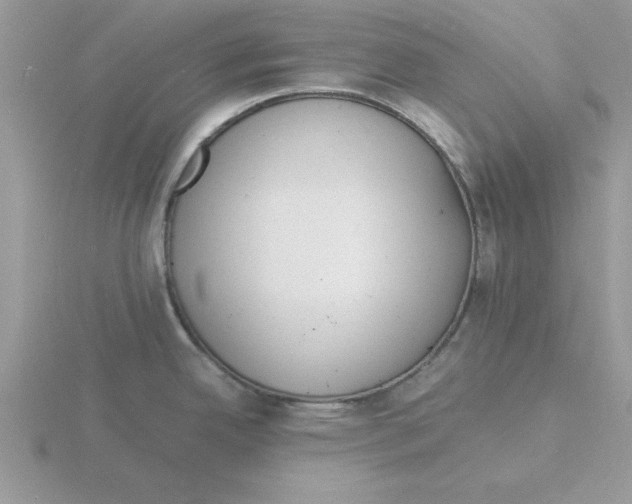 X0000115841342200912111325