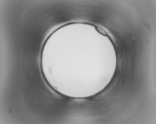 X0000115841343200912111325