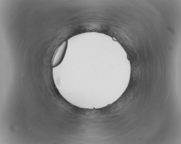 X0000115841345200912111324