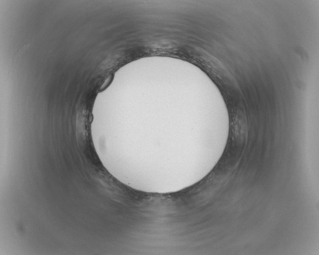 X0000115841346200912111324