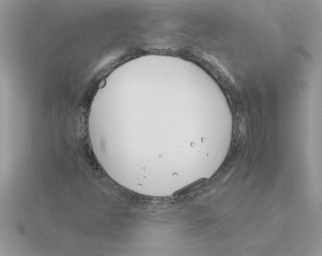 X0000115841350200912111324