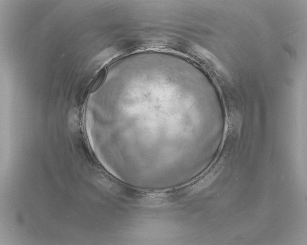 X0000115841353200912111324