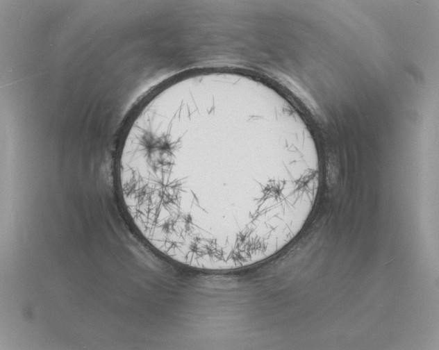 X0000115841356200912111324