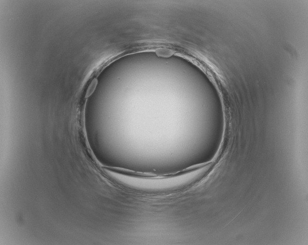 X0000115841357200912111324