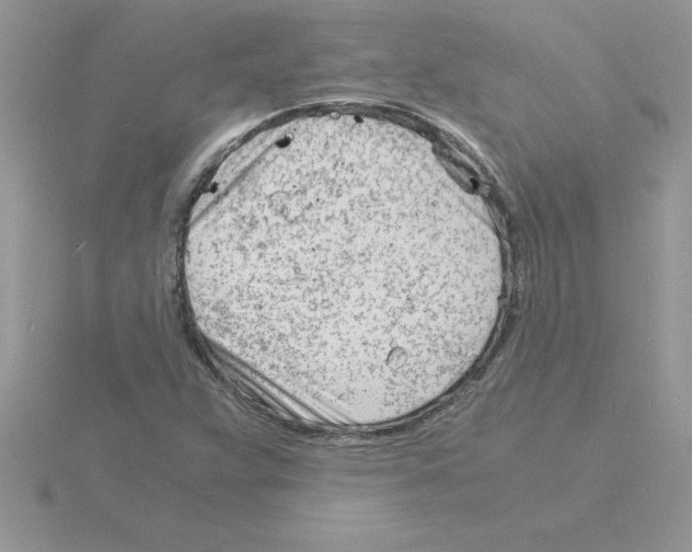 X0000115841359200912111324