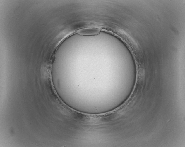 X0000115841361200912111324