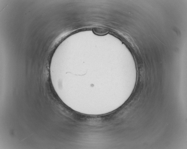 X0000115841363200912111324