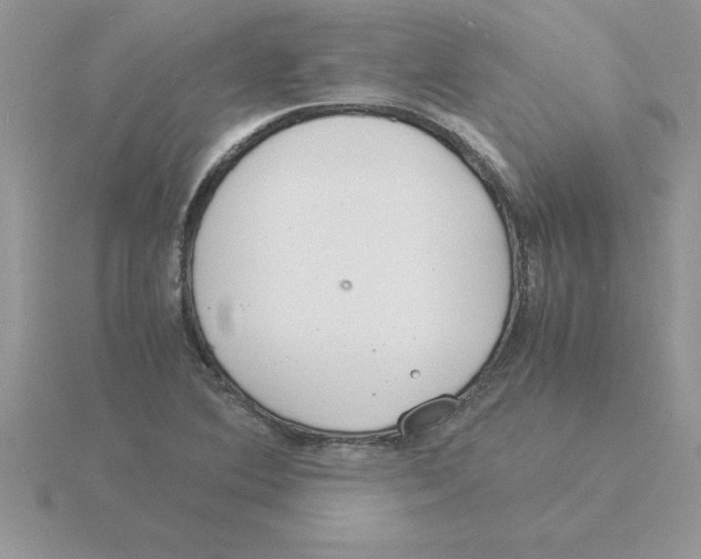 X0000115841364200912111324