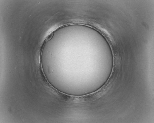 X0000115841365200912111324