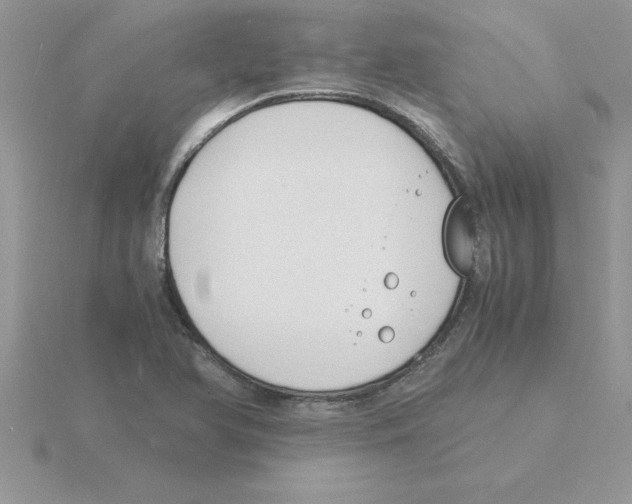 X0000115841366200912111324