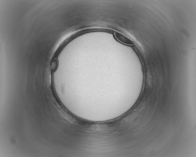 X0000115841368200912111324