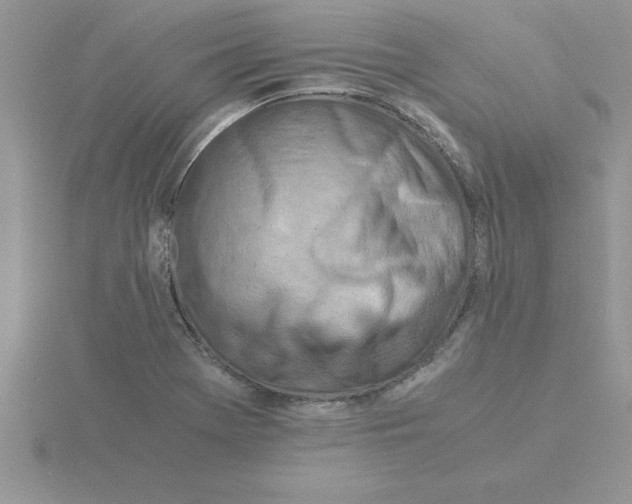 X0000115841369200912111324