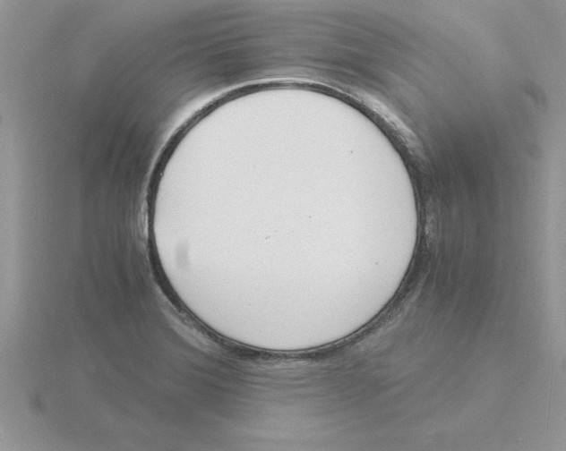 X0000115841372200912111324