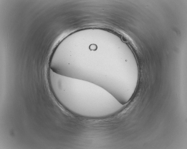 X0000115841373200912111324