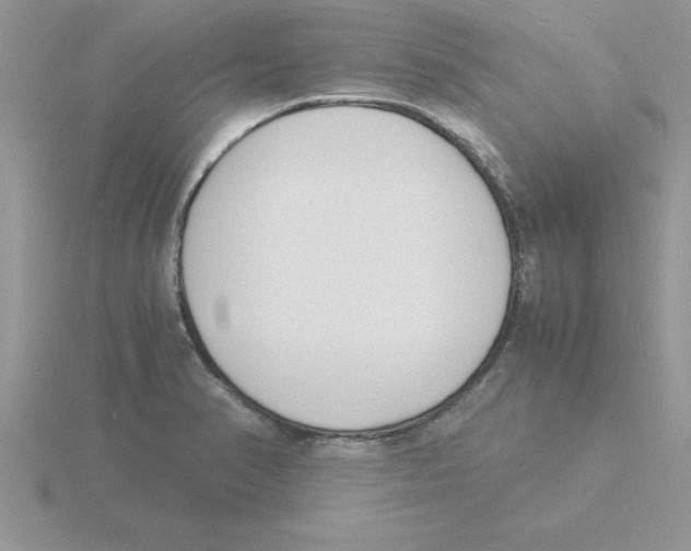 X0000115841374200912111324