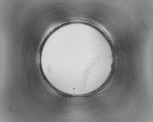 X0000115841376200912111324