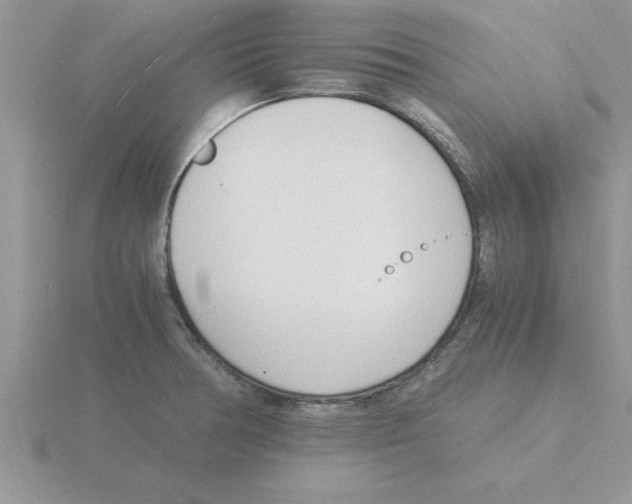 X0000115841378200912111324