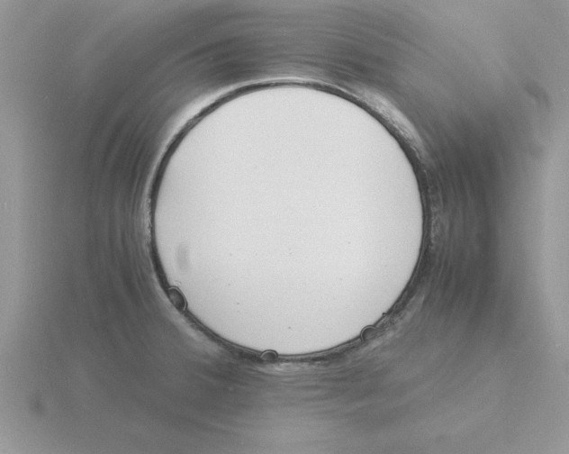 X0000115841380200912111324