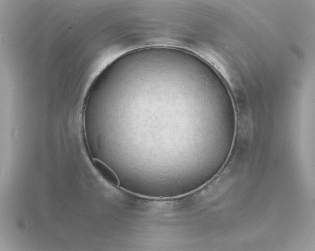 X0000115841381200912111324