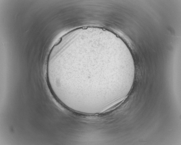 X0000115841383200912111324