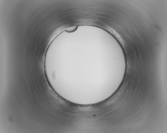 X0000115841386200912111324