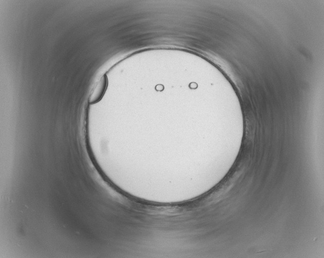 X0000115841387200912111324