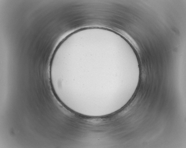 X0000115841388200912111324