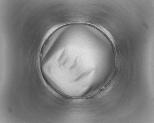 X0000115841389200912111324