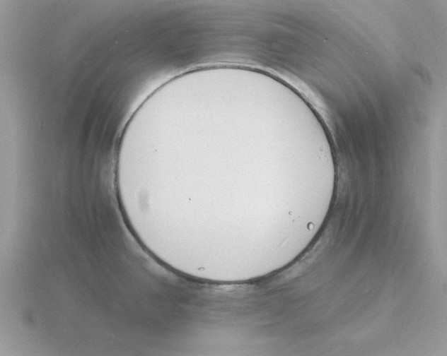 X0000115841390200912111324