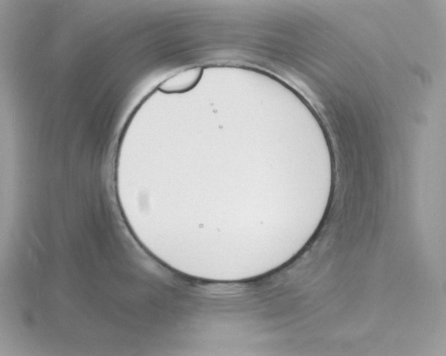 X0000115841392200912111324