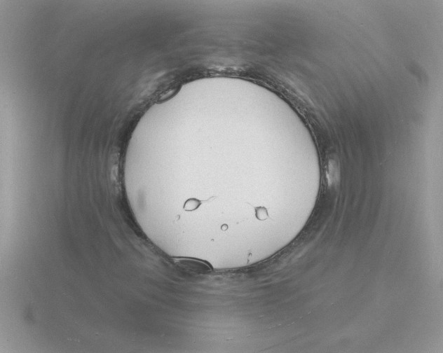 X0000115841396200912111323