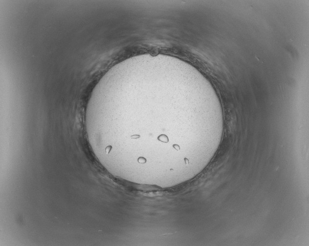 X0000115841397200912111323