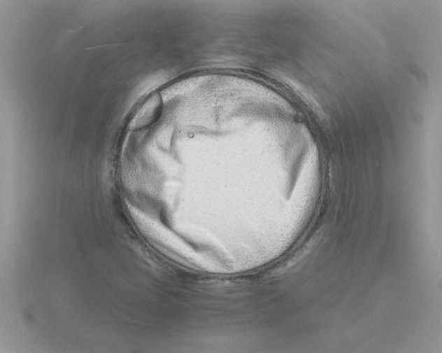 X0000115841405200912111323