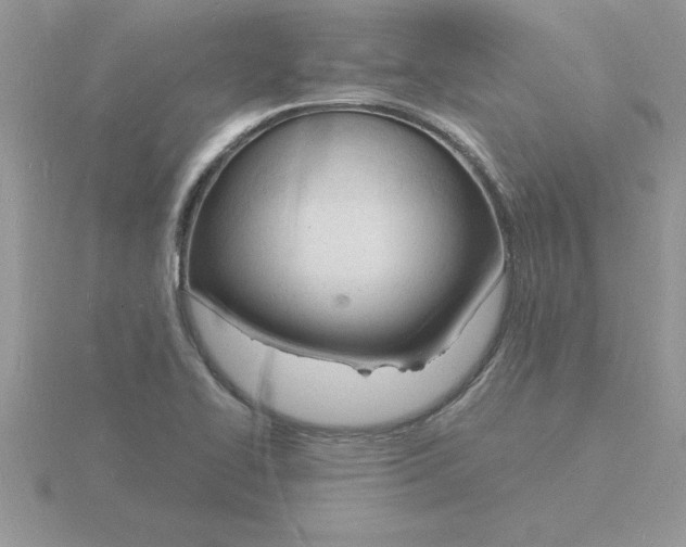 X0000115841414200912111323